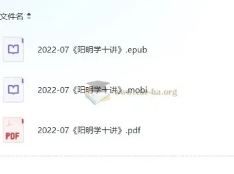 阳明学十讲：走进王阳明的非凡人生与知行合一智慧
