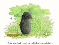 英文绘本故事《Mole and the Baby Bird》PPT课件