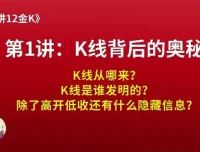 熊猫交易学社黄金VIP系统课：精讲12金K实战战法