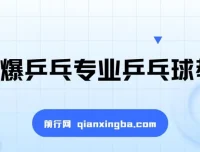 全世爆乒乓专业乒乓球教学课 从基础到实战的系统训练