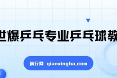 全世爆乒乓专业乒乓球教学课 从基础到实战的系统训练