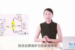 世界记忆大师亲授：快速提升记忆力的系统训练指南