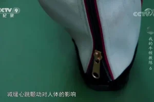 儿童物理启蒙纪录片：我的牛顿教练全六集