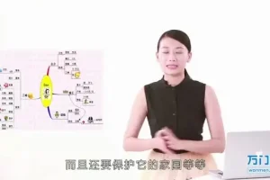 世界记忆大师亲授：快速提升记忆力的系统训练指南
