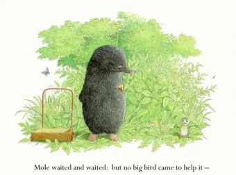 英文绘本故事《Mole and the Baby Bird》PPT课件