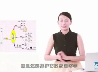 世界记忆大师亲授：快速提升记忆力的系统训练指南