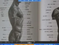 插画基础入门：SAI与Photoshop完全教程