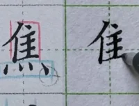 硬笔楷书偏旁部首规律精讲（中级135集）