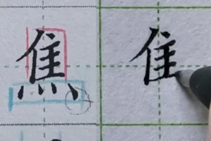 硬笔楷书偏旁部首规律精讲（中级135集）