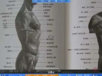 插画基础入门：SAI与Photoshop完全教程
