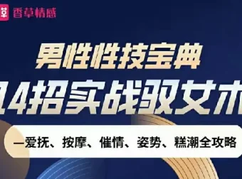 男性性技宝典视频课：14招实战驭女术全攻略