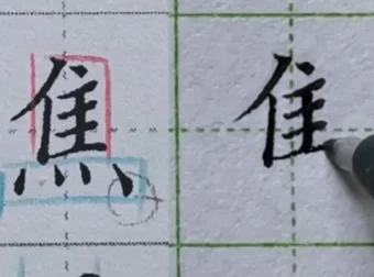 硬笔楷书偏旁部首规律精讲（中级135集）