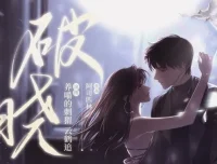 有声小说《破晓》阿司匹林新作 养喵的刺猬播音 97集完结