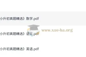 小升初备考必备：语数英真题精选集