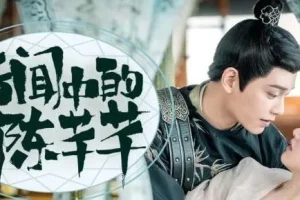 有声小说《传闻中的陈芊芊》影视同名多人有声剧210集全