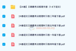王朝霞考点梳理时习卷（1-6年级下册语文）2024春版