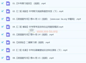 杨荷2024初三中考语文A+春季班（下）视频课程