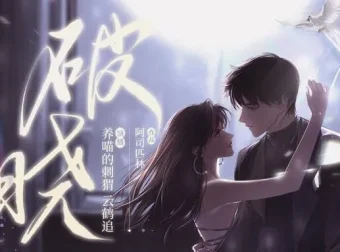 有声小说《破晓》阿司匹林新作 养喵的刺猬播音 97集完结
