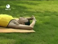 付费健身VIP课程大合集：从入门到精通的系统化训练指南