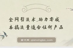 零成本引流实战教程，全网流量获取与变现全攻略
