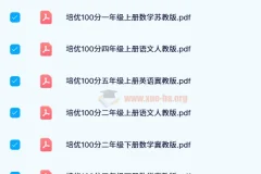王朝霞培优100分 1-6年级全科试卷合集