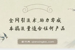 零成本引流实战教程，全网流量获取与变现全攻略