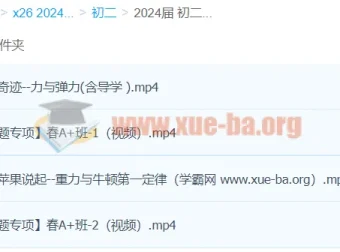2024初二物理何勇A+寒假班（春上）课程资源