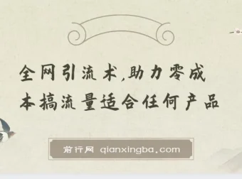 零成本引流实战教程，全网流量获取与变现全攻略