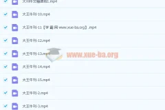 大王卡大刊牛文精讲班·结课合集