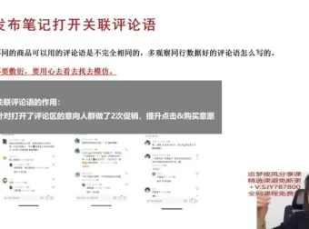 小红书陪跑营：从选品到爆款笔记实战指南