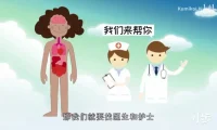 DK儿童百科动画版：48集普通话科普视频，带孩子探索奇妙世界