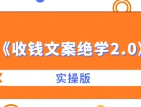 收钱文案绝学2.0实操版：从心法到实战的完整文案体系