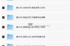 猿辅导少儿编程课L1-L2：从人脸识别到AI应用，零基础也能做小程序