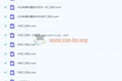2021九年级政治春季课程（13讲全）周若男主讲 中考冲刺复习资料