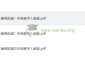 少年素质教育报·小学数学14天寒假赶超（人教版PDF版）