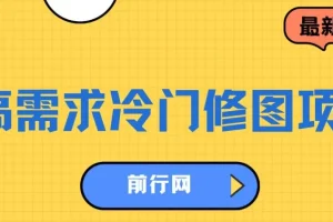 高需求冷门修图项目，新手日入300实操教程