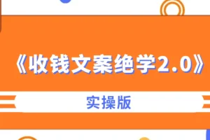 收钱文案绝学2.0实操版：从心法到实战的完整文案体系