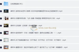 游戏安全逆向工程师从入门到精通实战课程