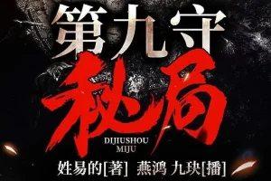 有声小说《第九守秘局》夜推磨先生精品双播 706集完整版