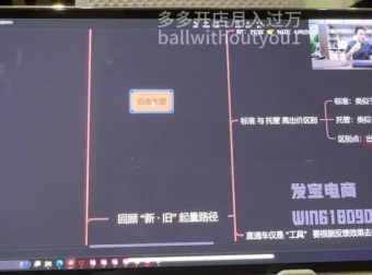 拼多多运营3节课：7-8月爆款实操技巧