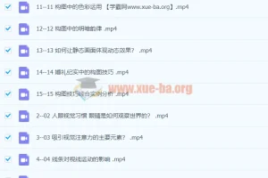 周森Forest《解码构图》摄影构图系统教程