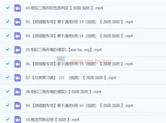 初二数学人教S班春季课程 刘岩主讲 相似三角形与易错题专项