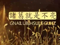 陈凯诸葛就是不亮交易之路初中高级课程合集