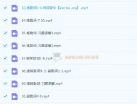 2024届高考日语一轮复习全程班：语法归纳精讲