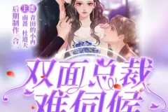 双面总裁难伺候丨青田的小冉多人有声剧203集完结