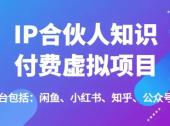 IP合伙人知识付费虚拟项目：全平台引流变现实战课程