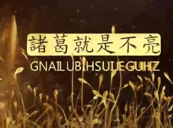 陈凯诸葛就是不亮交易之路初中高级课程合集