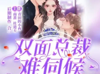 双面总裁难伺候丨青田的小冉多人有声剧203集完结