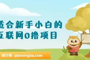 新手小白互联网零撸项目，手机操作轻松日入三位数