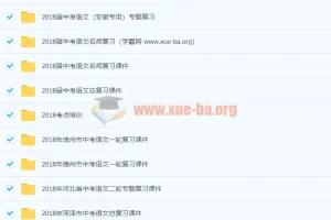 初中语文中考总复习资料合集